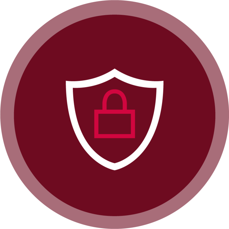 Icon Security